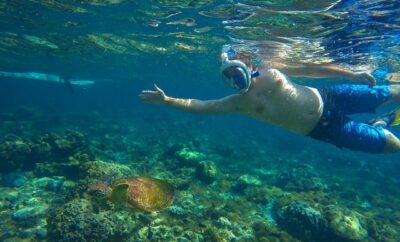 tour-snorkel-y-kayak-en-isla-de-venados-snorkel-min